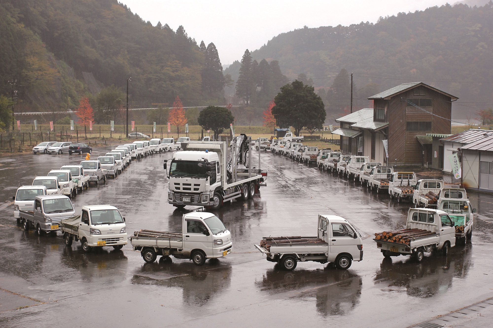 1台の大型トラックの周りを木材を積んだ軽トラックが囲む写真