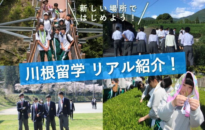 川根留学 リアル紹介