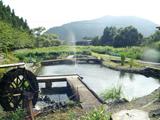 徳山 ときどんの池の写真