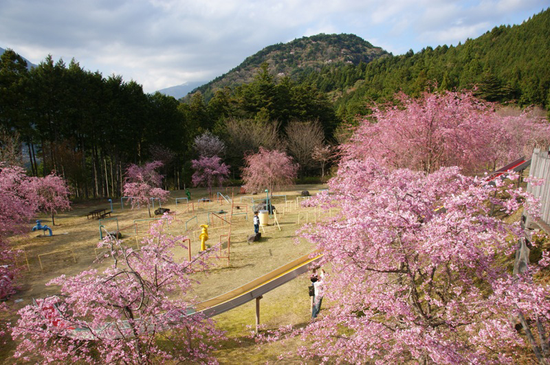 智者の丘公園の写真2