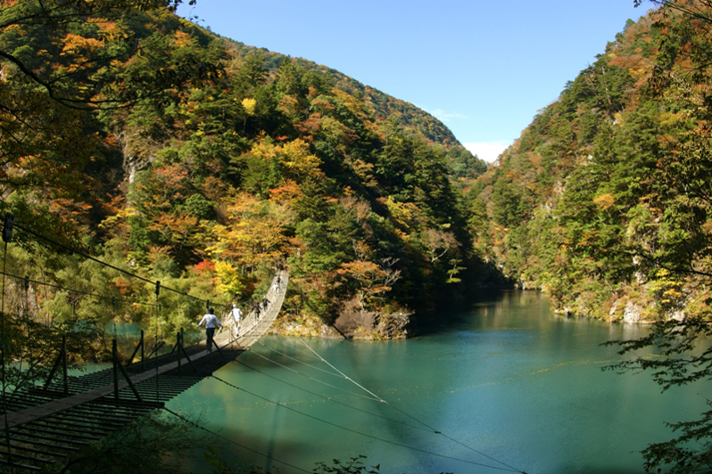 寸又峡夢の吊橋 長さ90メートル・高さ8メートルの写真2