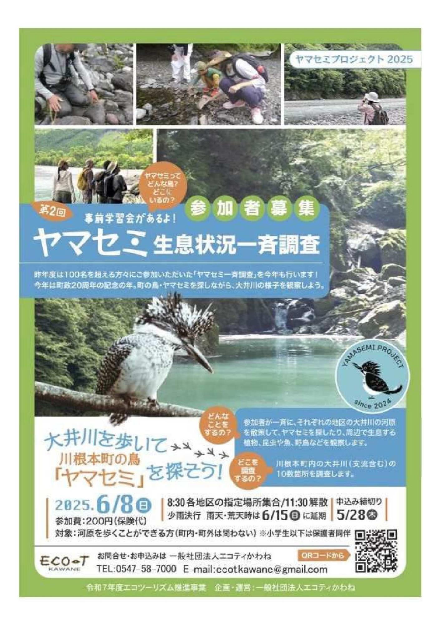 ヤマセミプロジェクト2025生息状況一斉調査