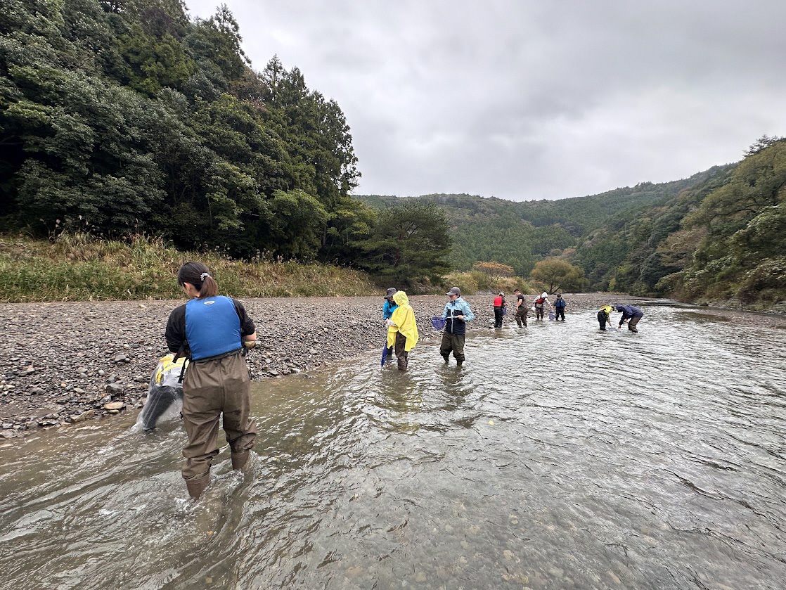 水生生物を見つけてみよう!
