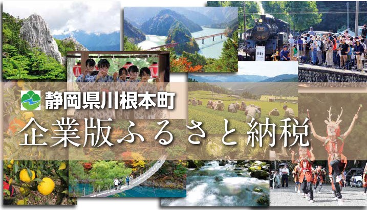 企業版ふるさと納税t通常版