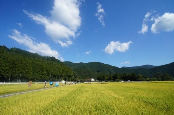 地名の平案山子コンテスト（2013年）の写真22