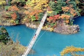 寸又峡夢の吊橋 長さ90メートル・高さ8メートルの写真1