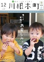 広報かわねほんちょう平成29年12月号の表紙