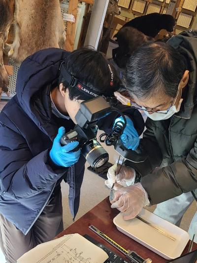 資料館やまびこ展示標本調査の様子