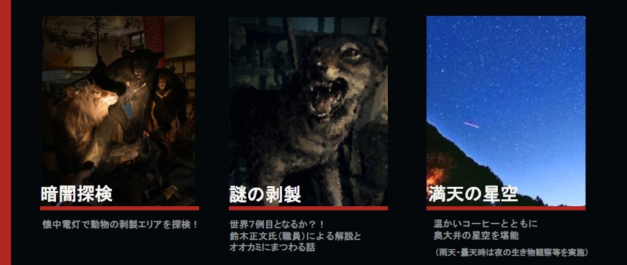 プログラム