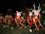徳山の盆踊の写真