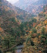 飛龍橋の写真