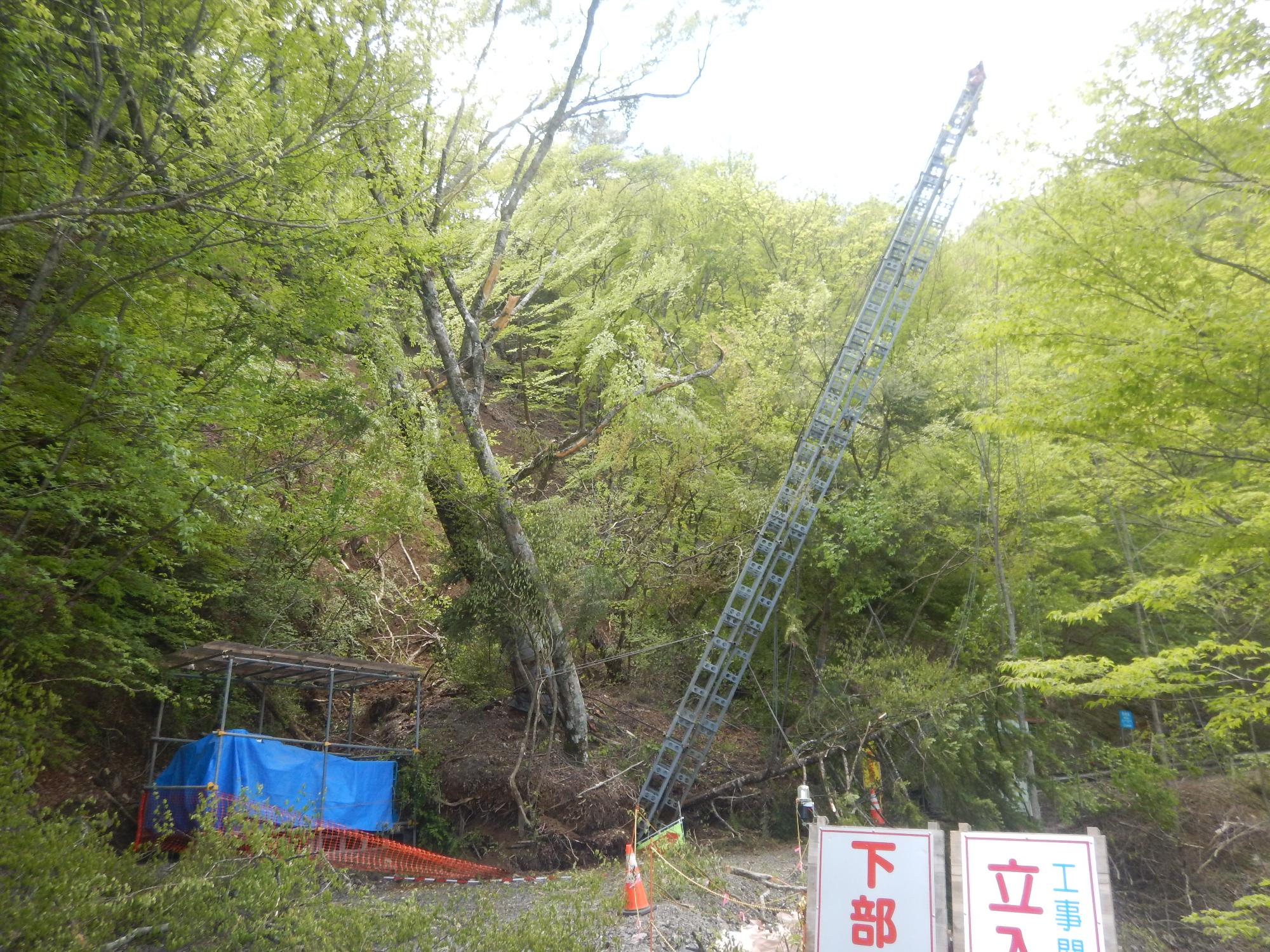 林道蕎麦粒線崩土箇所写真