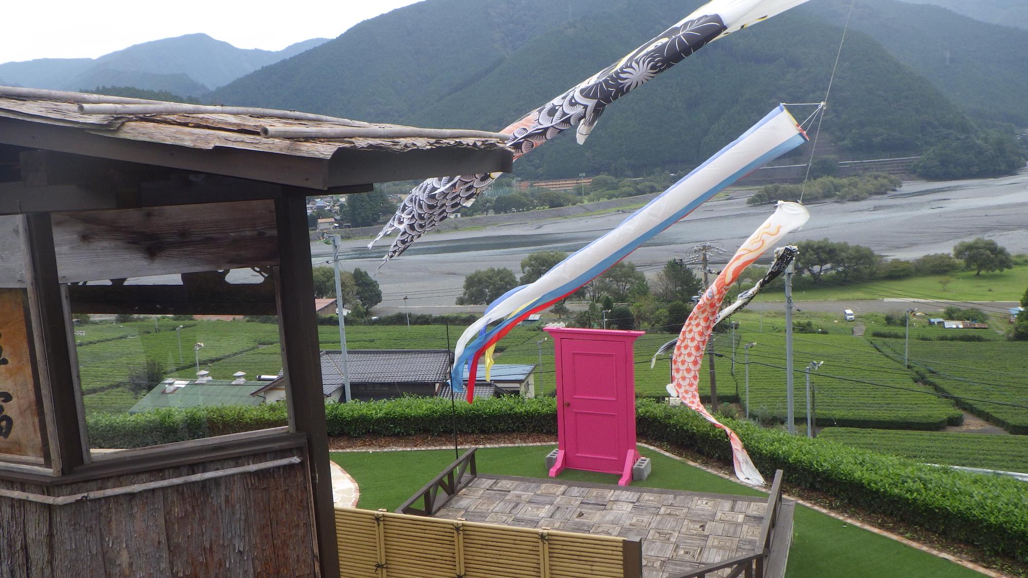 SATOMI製茶 展望台 写真