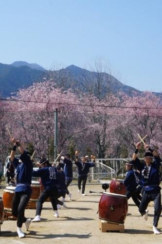 徳山桜まつり（2012年）の写真14