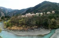 山の景色の中の桜の写真