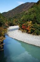 紅葉 見ごろの写真7