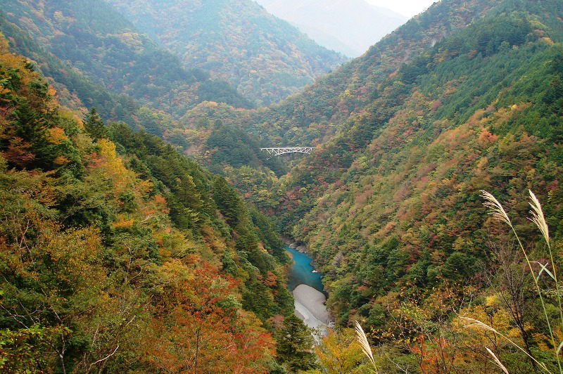 Autumn leaves of Sessokyo