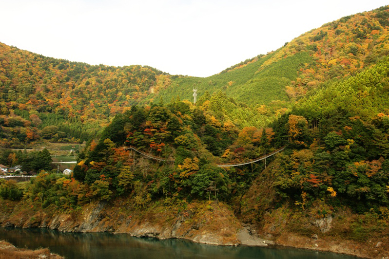 Autumn leaves of Sessokyo