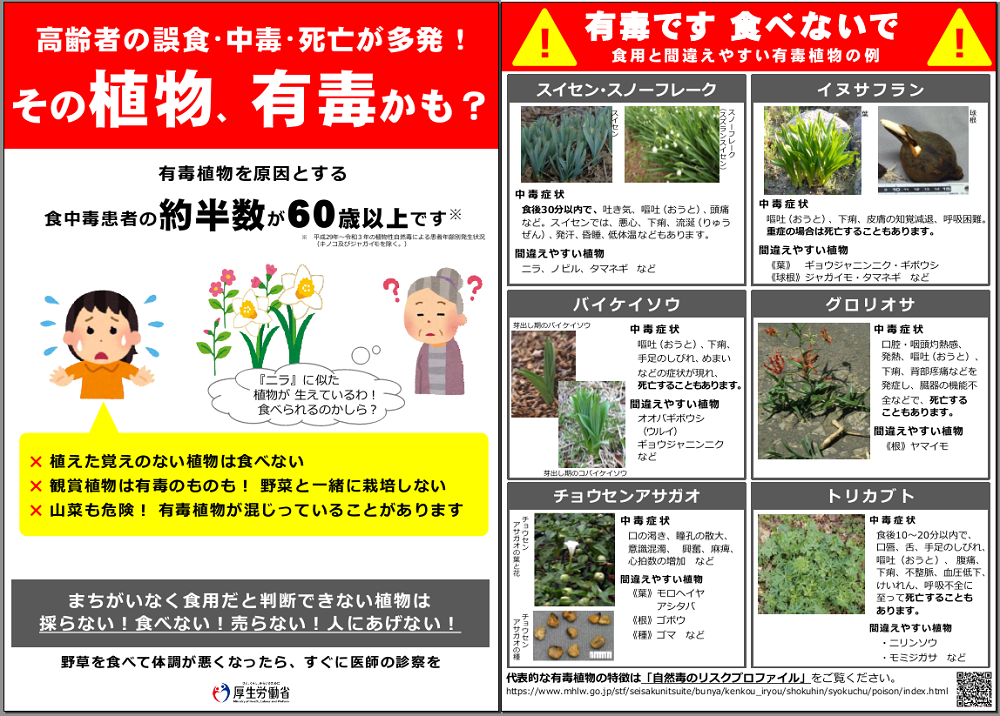 その植物、有毒かも？