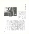 中川根のむかし話
