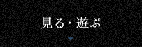 見る・遊ぶ