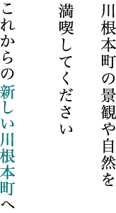 川根本町の景観や自然を 満喫してください これからの新しい川根本町へ